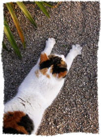 Stretching Stretching